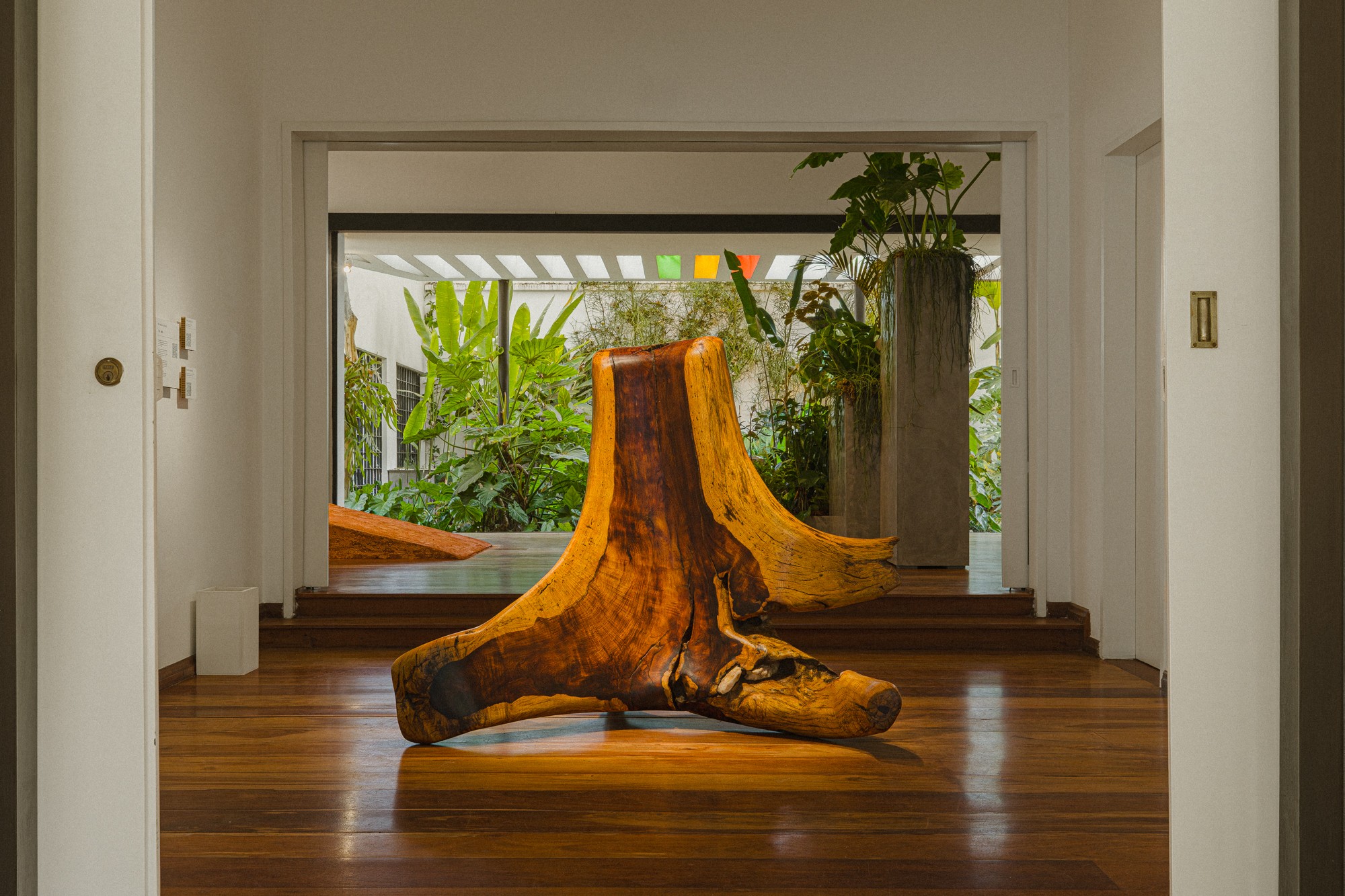 Foto do Artista Robinho Santana